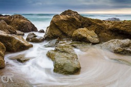 IMG_6544